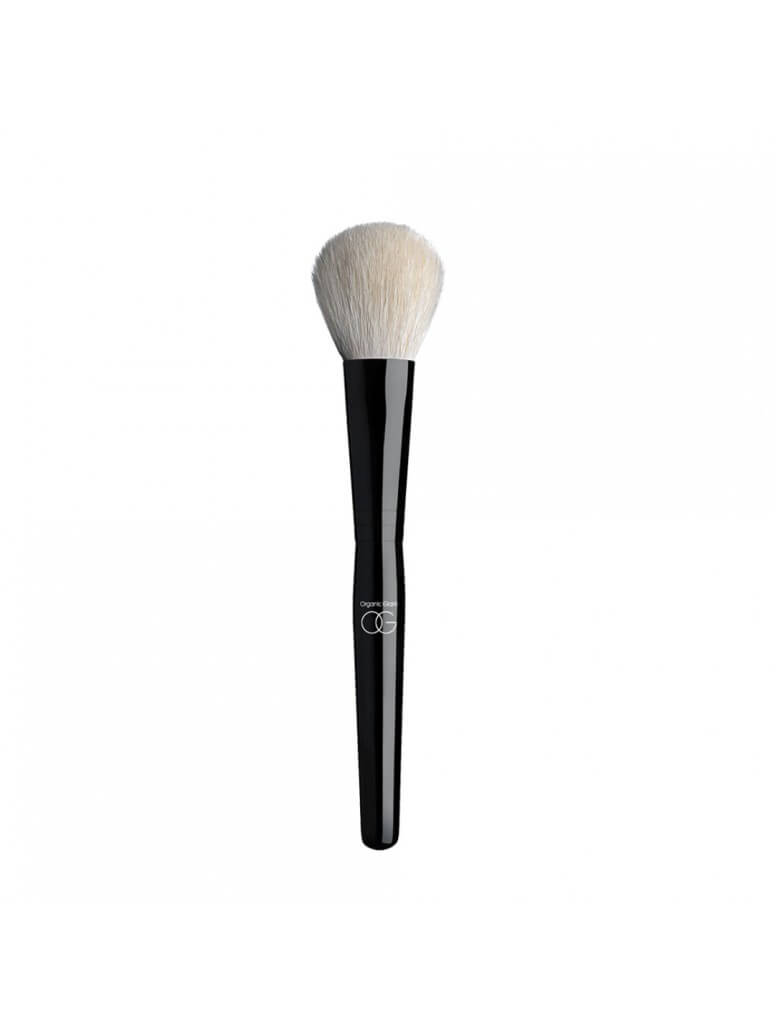 resize_1000__0040_powder_blender_brush_1[1]