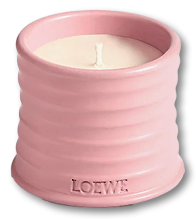 LOEWE Small Ivy Candle 170g