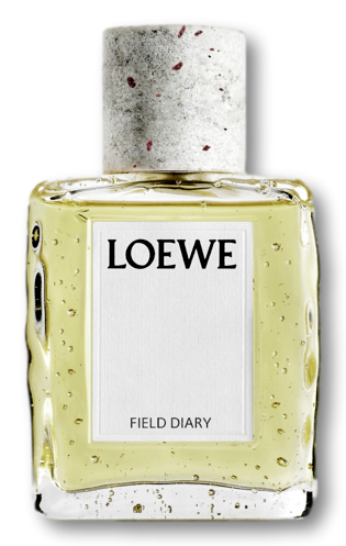 LOEWE Field Diary Eau De Parfum 100ml