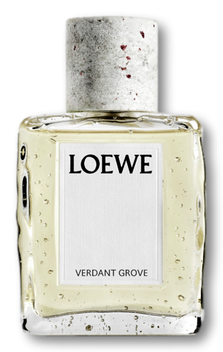 LOEWE Verdant Grove Eau De Parfum 100ml