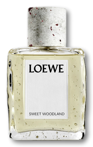 LOEWE Sweet Woodland Eau De Parfum 100ml