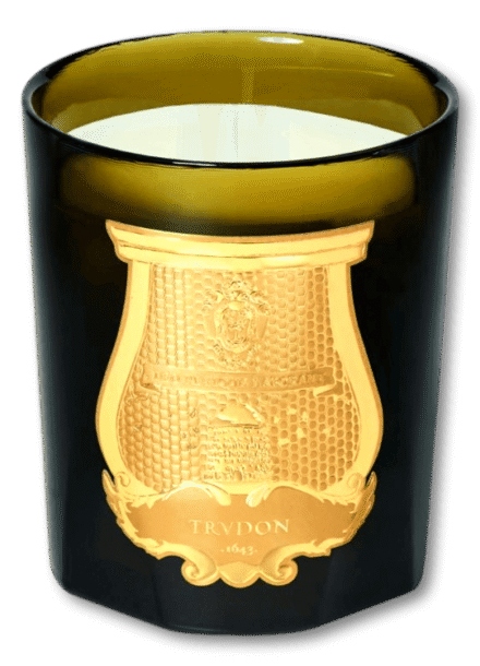 Trudon Classic Scented Candle Madeleine 270g
