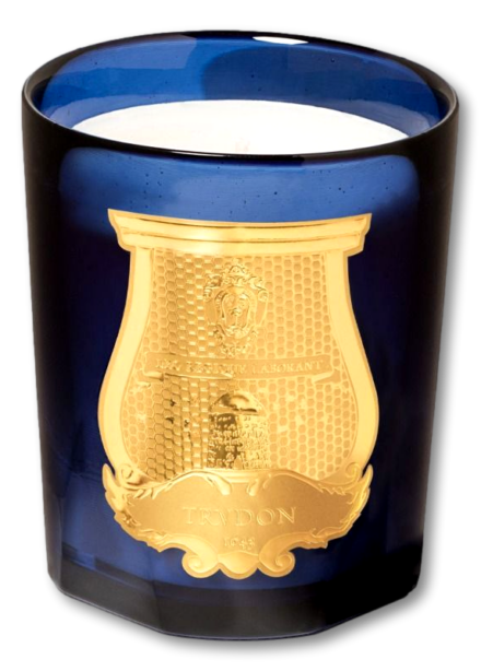 Trudon Scented Candle Salta 270g